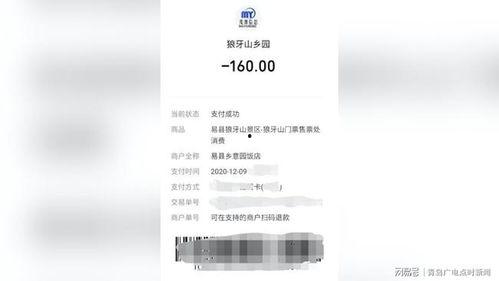 保定自媒体爆料事件视频,真相与争议的交织 第3张 保定自媒体爆料事件视频,真相与争议的交织 第3张